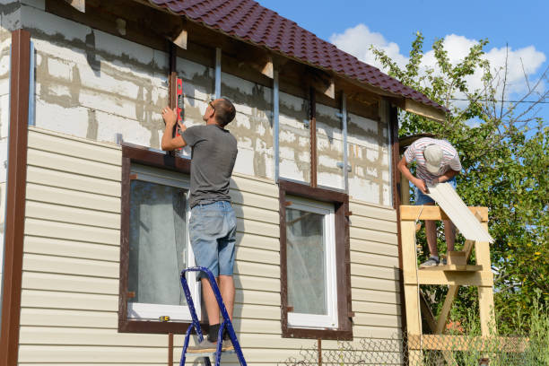 Best Stone Veneer Siding  in Cornell, WI