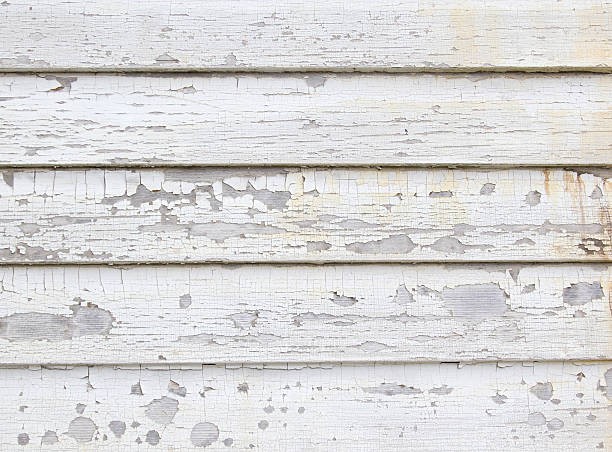 Best Brick Veneer Siding  in Cornell, WI
