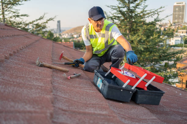 Best Siding Removal and Disposal  in Cornell, WI